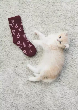 Balení 2 ks ponožek s vánočním potiskem