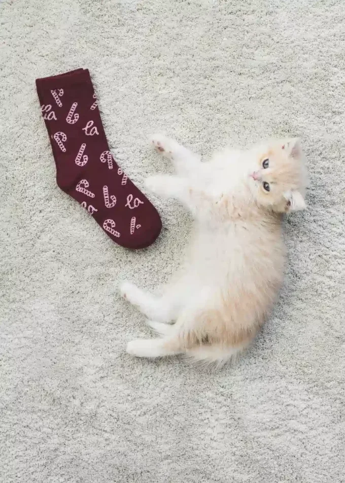 Balení 2 ks ponožek s vánočním potiskem Balení 2 ks ponožek s vánočním potiskem