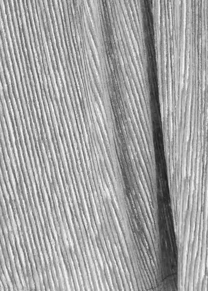 Skládaná metalická sukně Skládaná metalická sukně