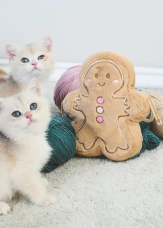 Taška na perníčky Taška na perníčky